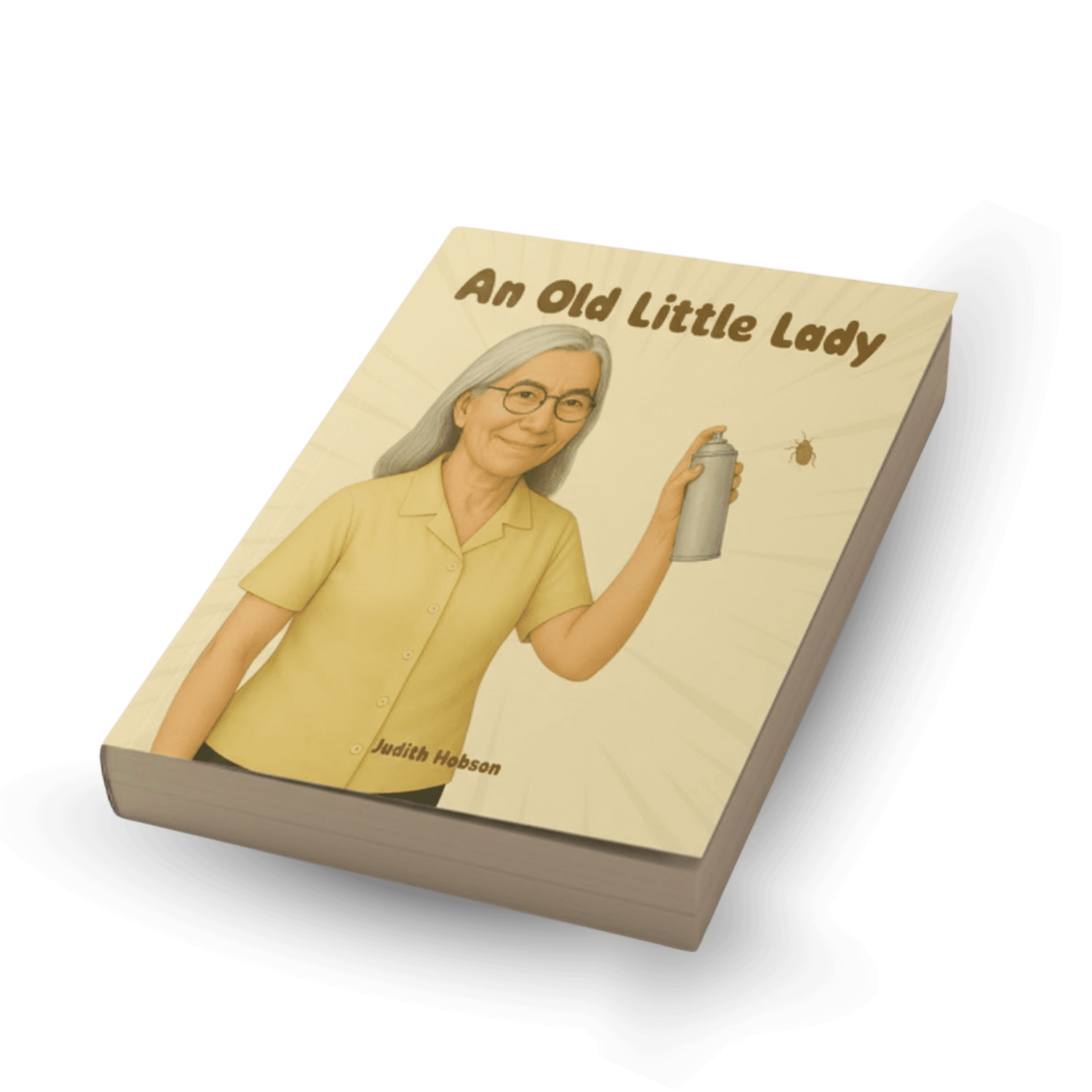 3D view of the book An Old Little Lady
